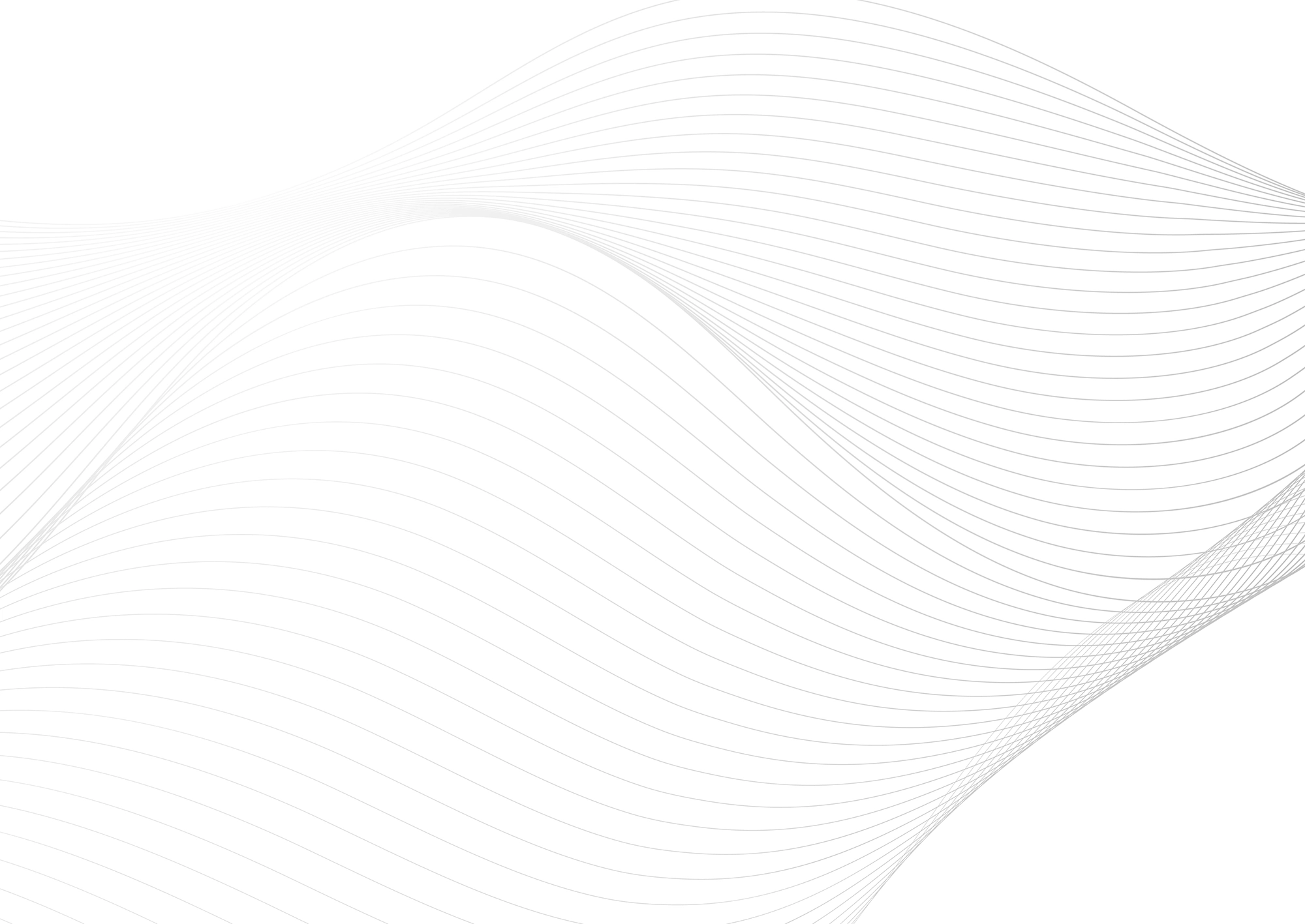 Web Site Tasarımcısı, Hanönü