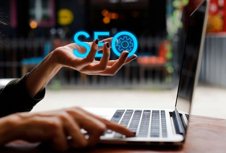 Hanönü Web Site Tasarımcı